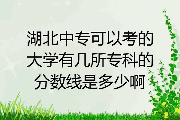 湖北中专可以考的大学有几所专科的分数线是多少啊
