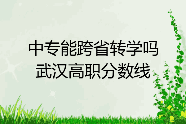中专能跨省转学吗武汉高职分数线