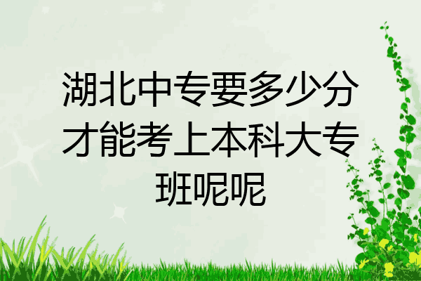 湖北中专要多少分才能考上本科大专班呢呢