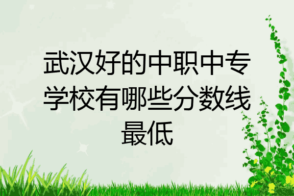 武汉好的中职中专学校有哪些分数线最低