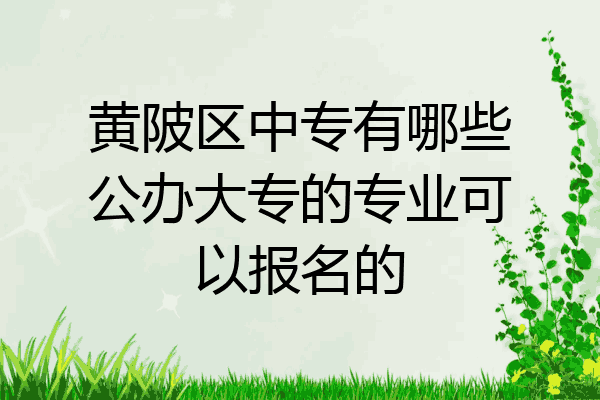 黄陂区中专有哪些公办大专的专业可以报名的