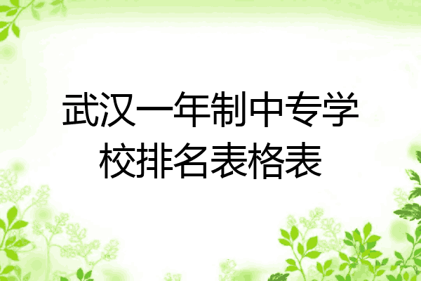 武汉一年制中专学校排名表格表