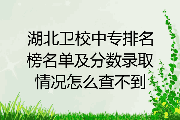 湖北卫校中专排名榜名单及分数录取情况怎么查不到
