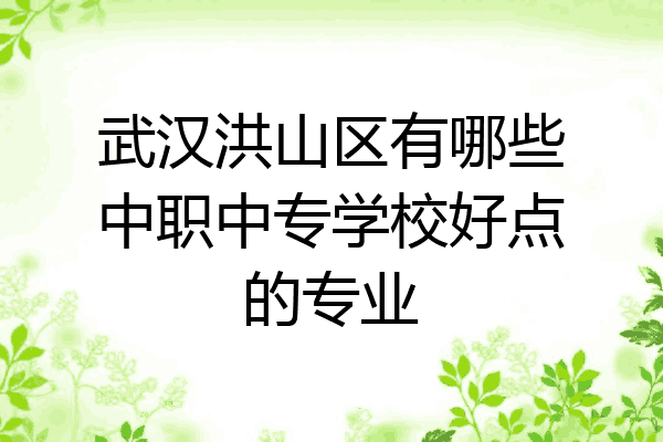 武汉洪山区有哪些中职中专学校好点的专业