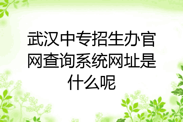 武汉中专招生办官网查询系统网址是什么呢