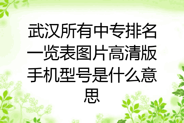 武汉所有中专排名一览表图片高清版手机型号是什么意思