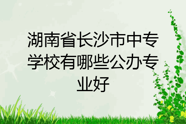 湖南省长沙市中专学校有哪些公办专业好