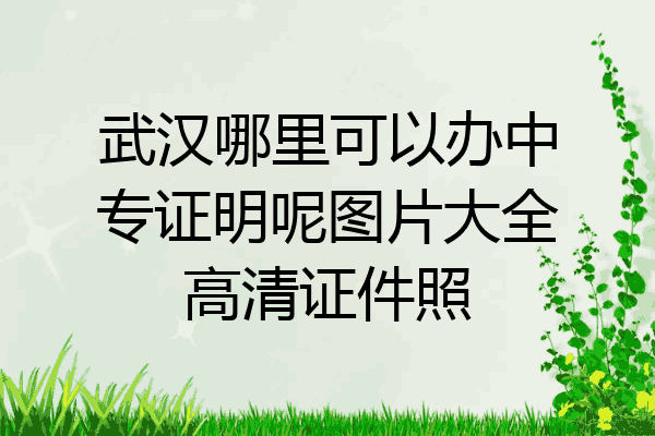 武汉哪里可以办中专证明呢图片大全高清证件照