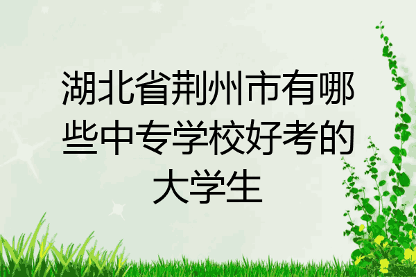 湖北省荆州市有哪些中专学校好考的大学生