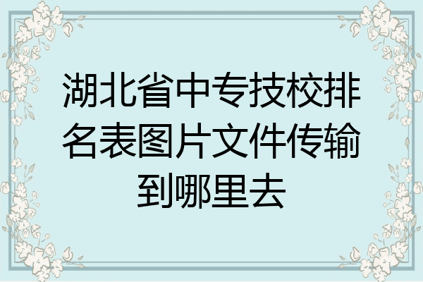 湖北省中专技校排名表图片文件传输到哪里去