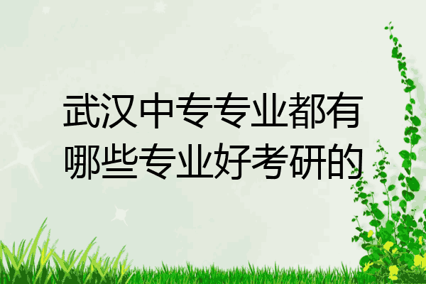 武汉中专专业都有哪些专业好考研的