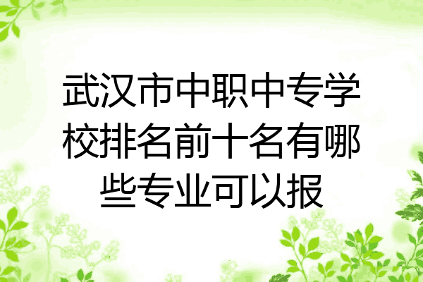 武汉市中职中专学校排名前十名有哪些专业可以报