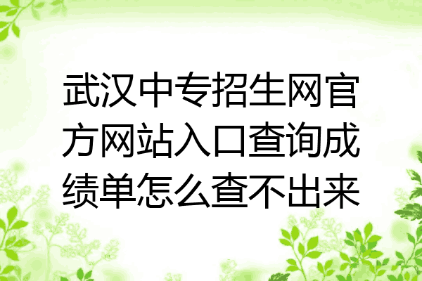武汉中专招生网官方网站入口查询成绩单怎么查不出来