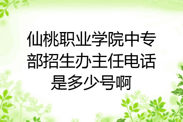 仙桃职业学院中专部招生办主任电话是多少号啊