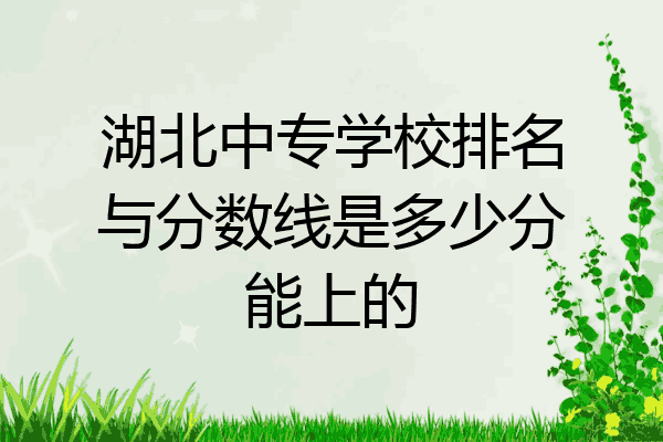 湖北中专学校排名与分数线是多少分能上的