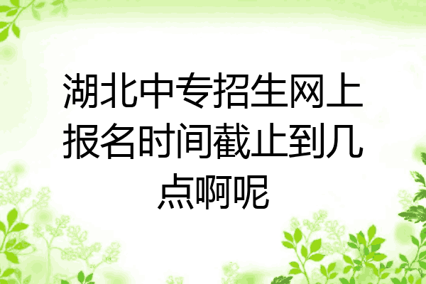 湖北中专招生网上报名时间截止到几点啊呢
