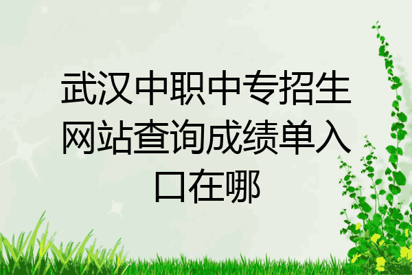 武汉中职中专招生网站查询成绩单入口在哪