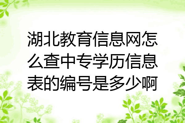 湖北教育信息网怎么查中专学历信息表的编号是多少啊