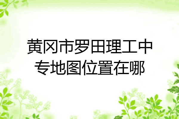 黄冈市罗田理工中专地图位置在哪