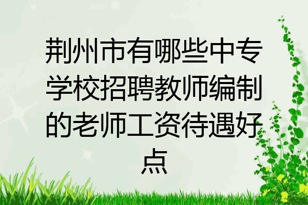 荆州市有哪些中专学校招聘教师编制的老师工资待遇好点
