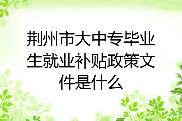 荆州市大中专毕业生就业补贴政策文件是什么