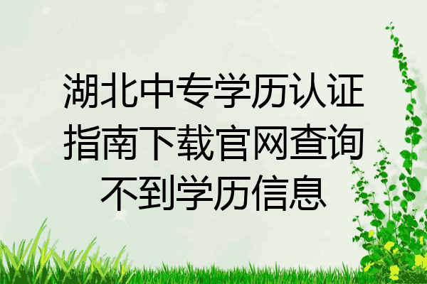 湖北中专学历认证指南下载官网查询不到学历信息