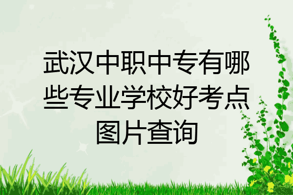 武汉中职中专有哪些专业学校好考点图片查询