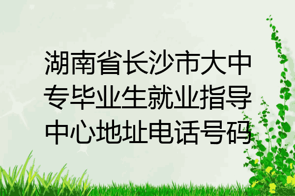 湖南省长沙市大中专毕业生就业指导中心地址电话号码