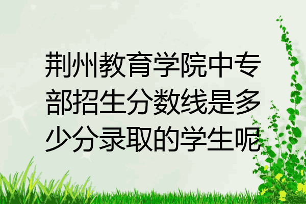 荆州教育学院中专部招生分数线是多少分录取的学生呢