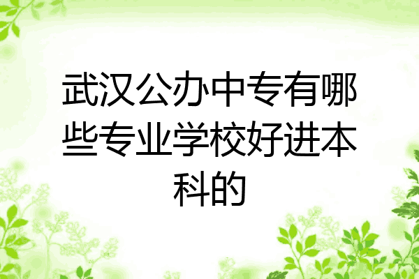 武汉公办中专有哪些专业学校好进本科的
