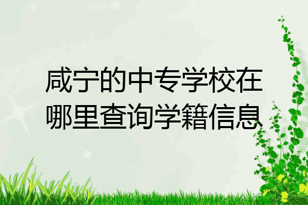 咸宁的中专学校在哪里查询学籍信息