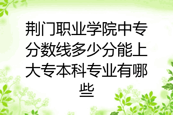 荆门职业学院中专分数线多少分能上大专本科专业有哪些