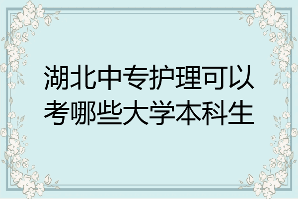 湖北中专护理可以考哪些大学本科生