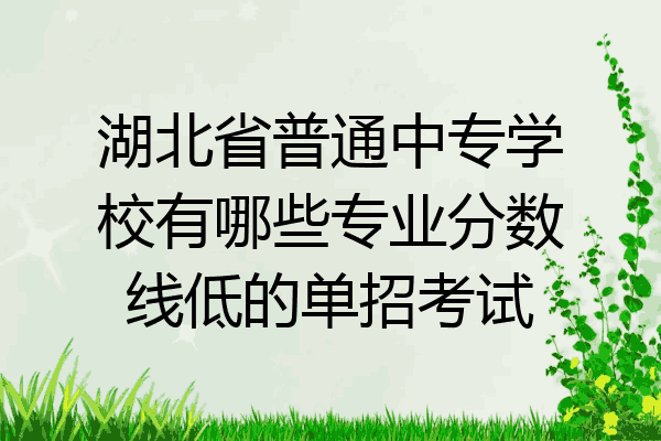 湖北省普通中专学校有哪些专业分数线低的单招考试