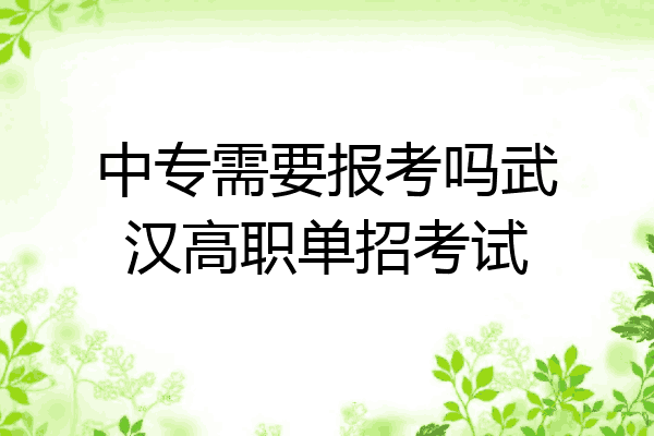 中专需要报考吗武汉高职单招考试