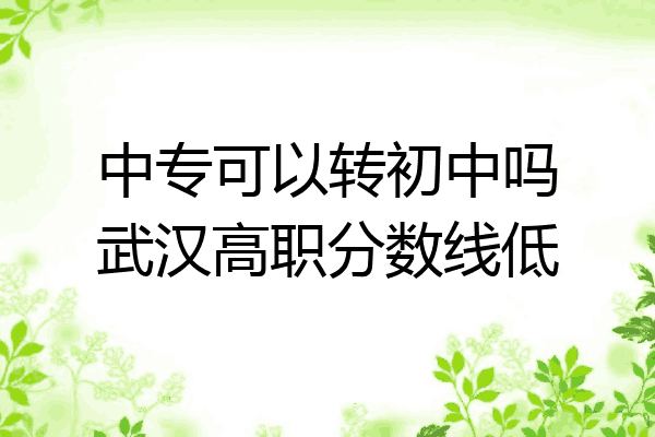 中专可以转初中吗武汉高职分数线低