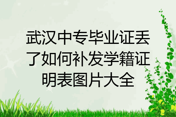 武汉中专毕业证丢了如何补发学籍证明表图片大全