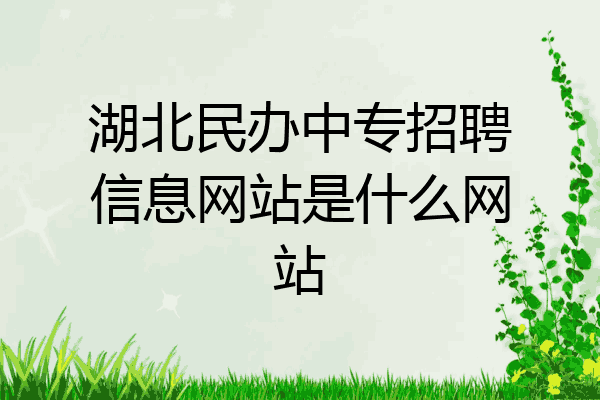 湖北民办中专招聘信息网站是什么网站