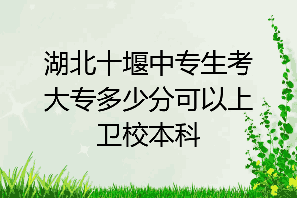湖北十堰中专生考大专多少分可以上卫校本科