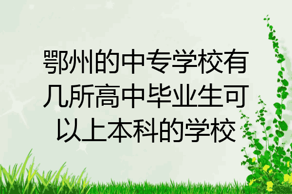 鄂州的中专学校有几所高中毕业生可以上本科的学校