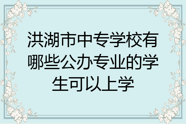 洪湖市中专学校有哪些公办专业的学生可以上学