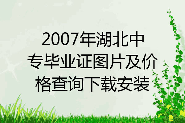2007年湖北中专毕业证图片及价格查询下载安装