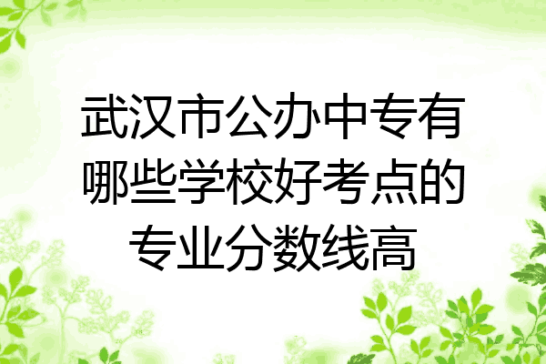 武汉市公办中专有哪些学校好考点的专业分数线高