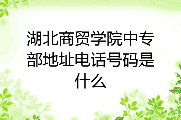 湖北商贸学院中专部地址电话号码是什么