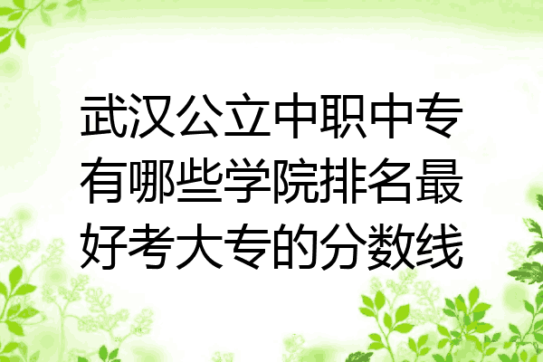 武汉公立中职中专有哪些学院排名最好考大专的分数线