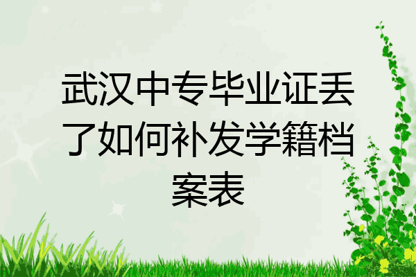 武汉中专毕业证丢了如何补发学籍档案表