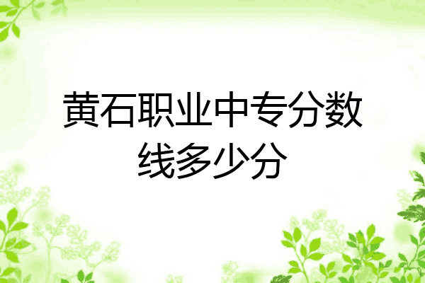 黄石职业中专分数线多少分
