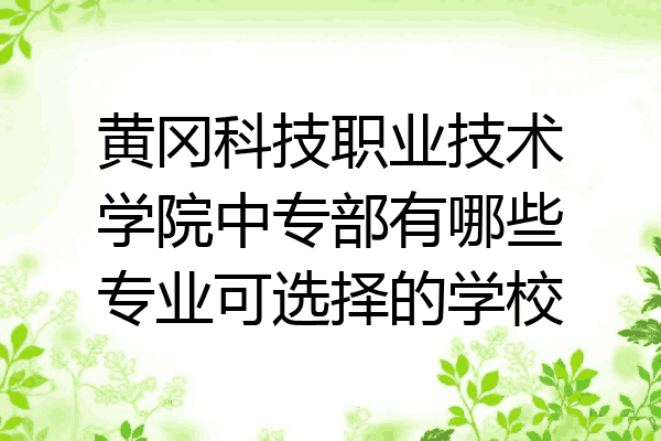 黄冈科技职业技术学院中专部有哪些专业可选择的学校