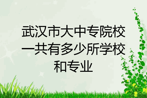 武汉市大中专院校一共有多少所学校和专业