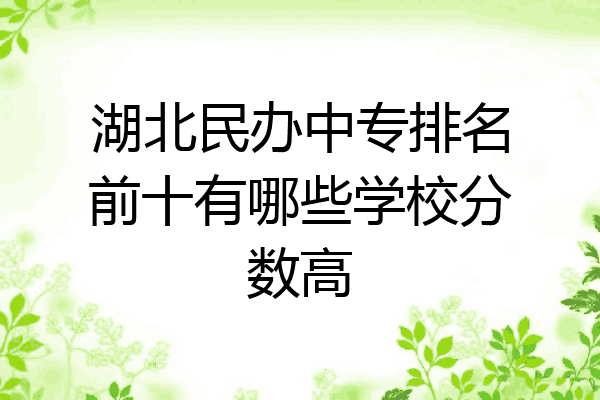 湖北民办中专排名前十有哪些学校分数高